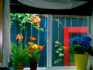 kitchen-window